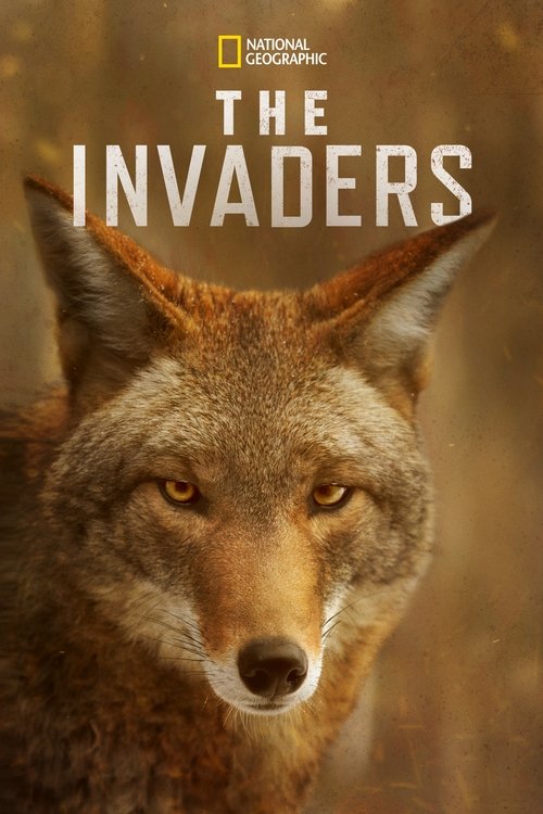 Poster della serie The Invaders