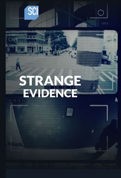 Poster della serie Strange Evidence