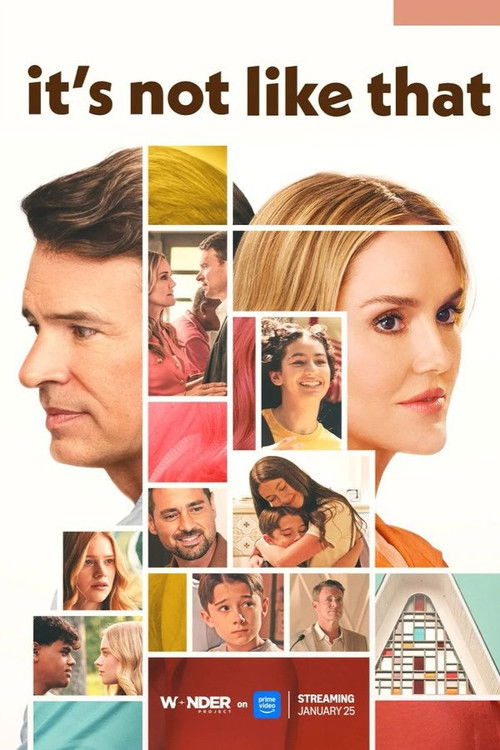 Poster della serie It's Not Like That