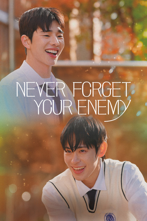 Poster della serie Never Forget Your Enemy