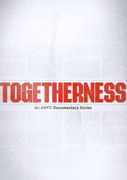 Poster della serie Togetherness