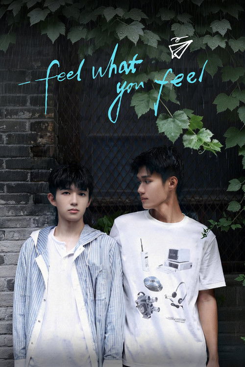 Poster della serie Feel What You Feel