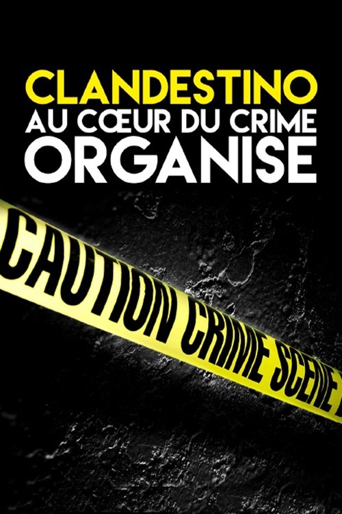 Poster della serie Clandestino