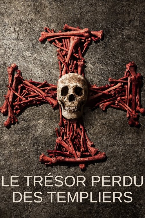 Poster della serie Pirate Treasure of the Knights Templar