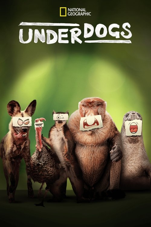Poster della serie Underdogs