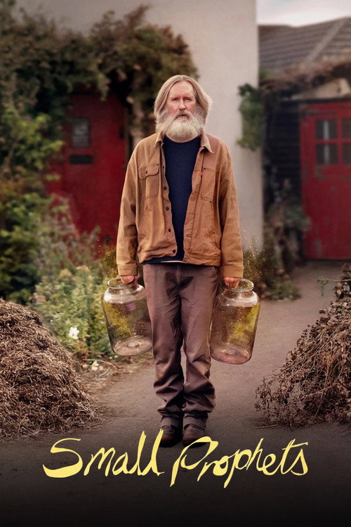 Poster della serie Small Prophets
