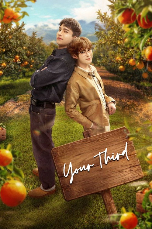 Poster della serie Your Third