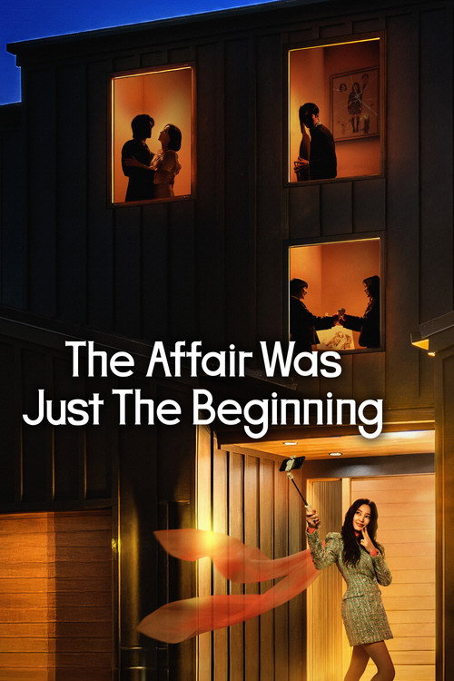 Poster della serie The Affair Was Just The Beginning