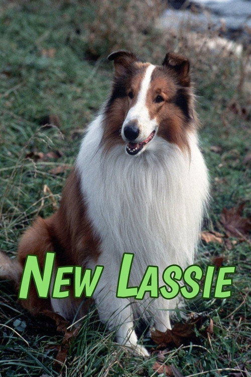 Poster della serie The New Lassie