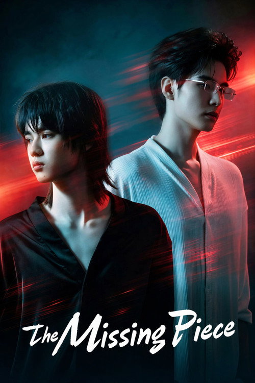 Poster della serie The Missing Piece