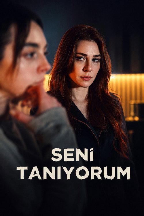 Poster della serie Not a Stranger