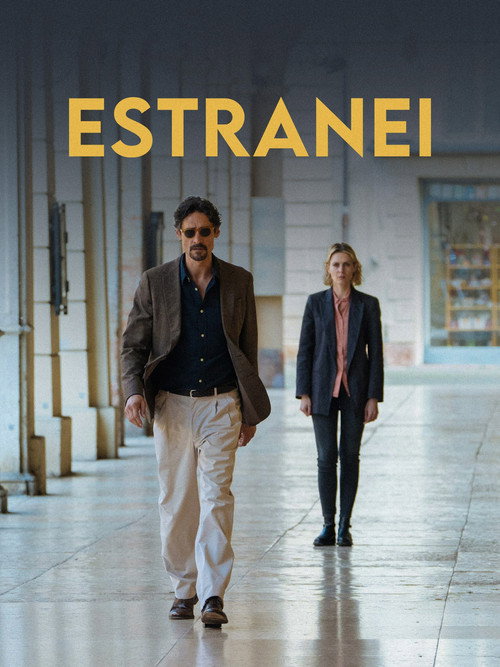 Poster della serie Estranei