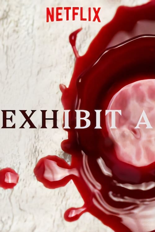 Poster della serie Exhibit A