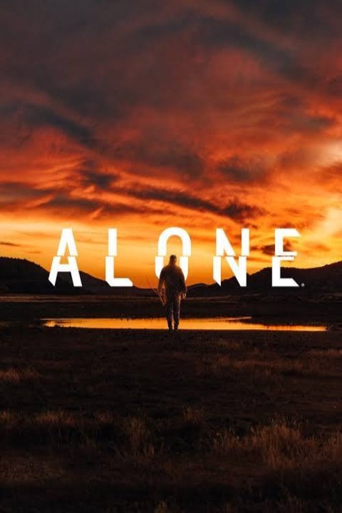 Poster della serie Alone