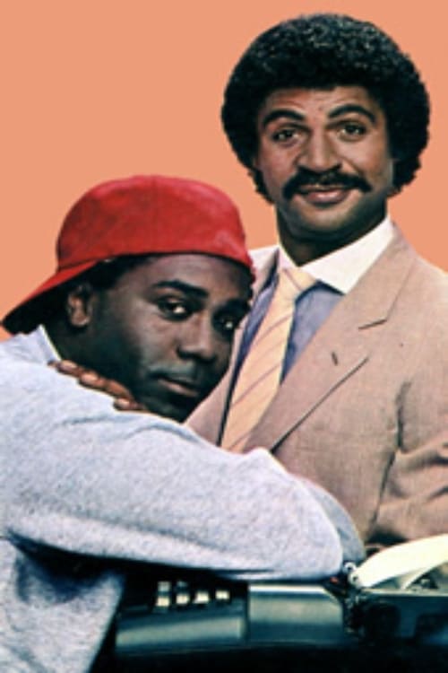 Poster della serie The New Odd Couple