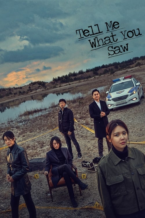Poster della serie Tell Me What You Saw