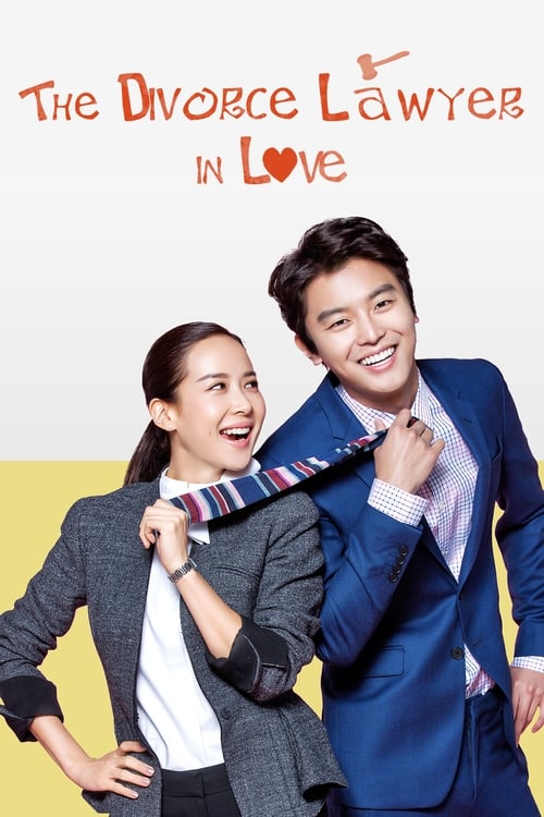 Poster della serie Divorce Lawyer in Love