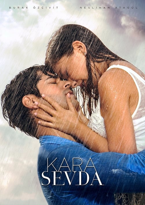 Poster della serie Endless Love