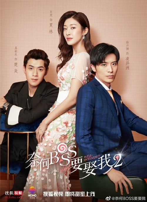 Poster della serie Well Intended Love 2